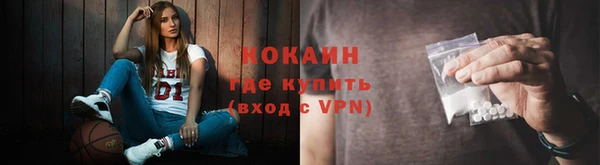 прущие грибы Кинешма
